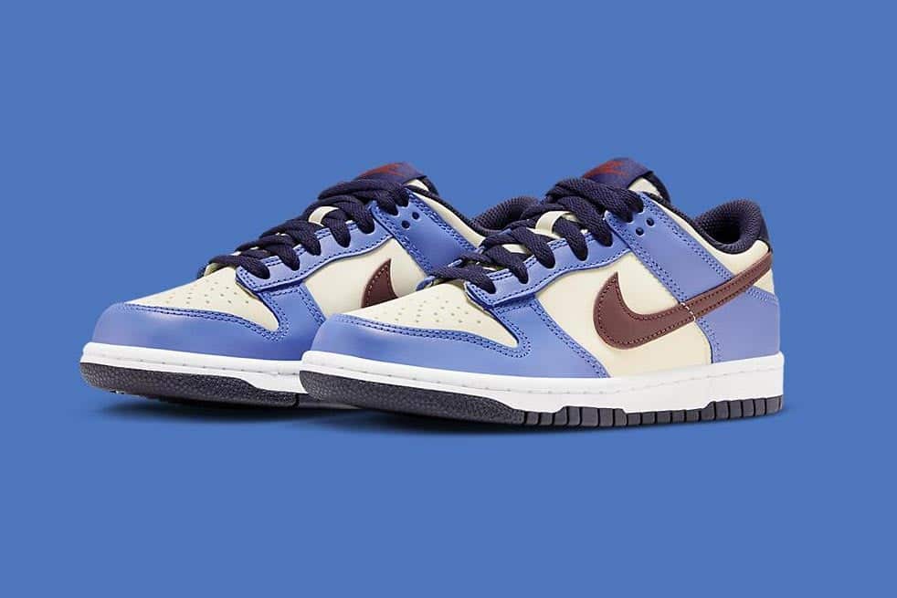 Nike Dunk Low GS “From Nike To You” - HQZ Nike Dunk Low GS “From Nike To You”