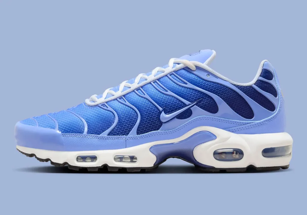 nike-air-max-plus-royal-pulse-deep-royal-blue-dm0032-403-8 - HQZ