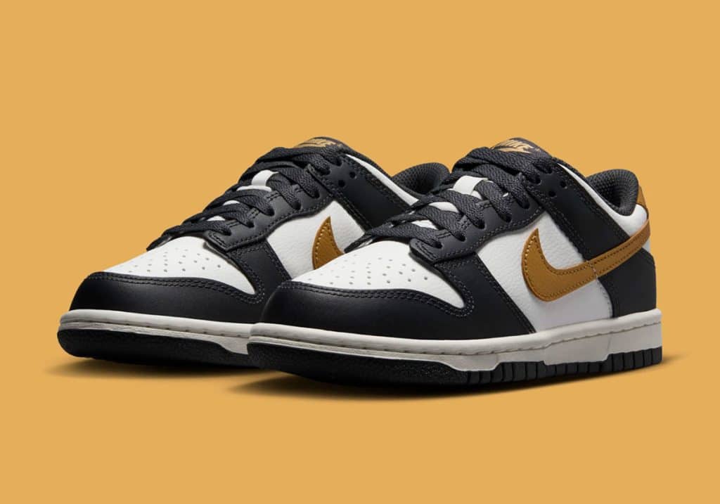 nike-dunk-low-gs-black-white-gold-hv2533-100-6jpg