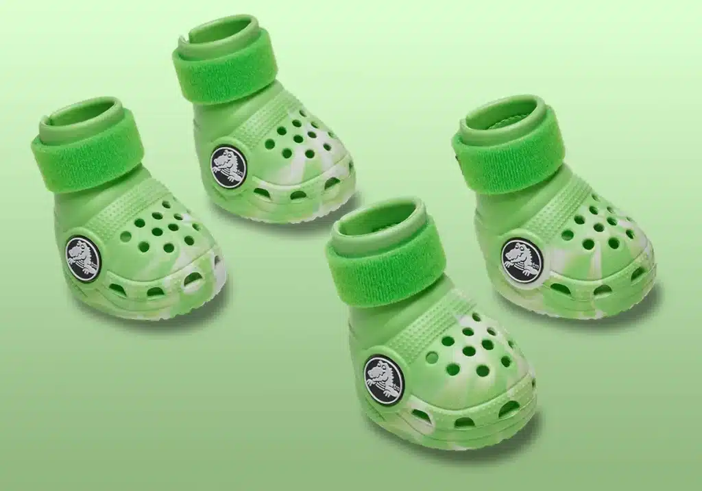 dog-crocs-green-211352-3wa-4 - HQZ