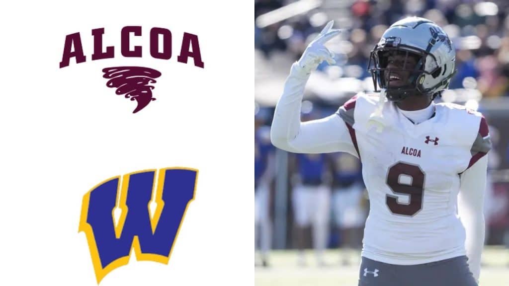 No. 9 Alcoa vs Westview TSSAA Football 2024 Class 3A State Championship